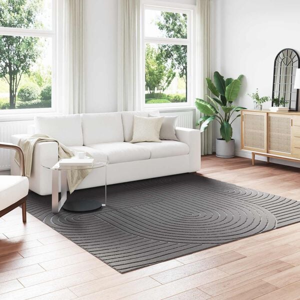 vidaXL Area Rugs Square Anthracite 240 x 240 cm