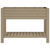 vidaXL Garden Raised Bed Light Brown 110x45x79 cm Polypropylene
