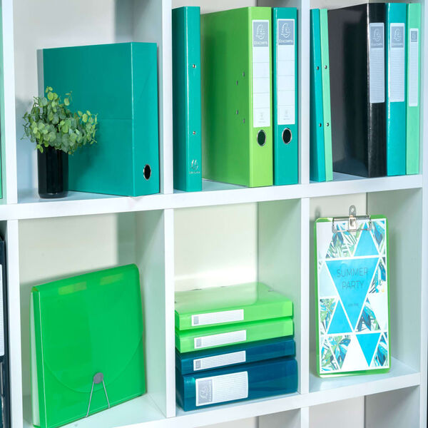 Exacompta Ring Binders Iderama A4 with 2-Rings 30mm