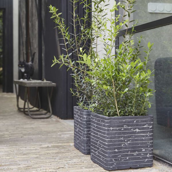 Capi Planter Nature Row Square 40x40 cm Anthracite KRWZ903