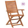 vidaXL Folding Garden Chairs with Armrest 2 pcs Solid Wood Acacia