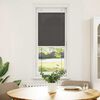 vidaXL Pleated Blind Black 50x100 cm Fabric Width 49.4 cm Polyester