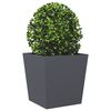 Product Thumbnail Image 8 of 10