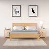 vidaXL Bedside Cabinets 2 pcs 50x35x61.5 cm Solid Wood Pine