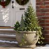 Product Thumbnail Image 3 of 7