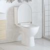 vidaXL Soft-close Toilet Seat with Quick-release Design White