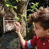 Scout Insect Hotel 9.5x16x28 cm Wood