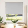 vidaXL Roller Blind Blackout Light Grey 100x150 cm Fabric Width 95.7 cm Polyester