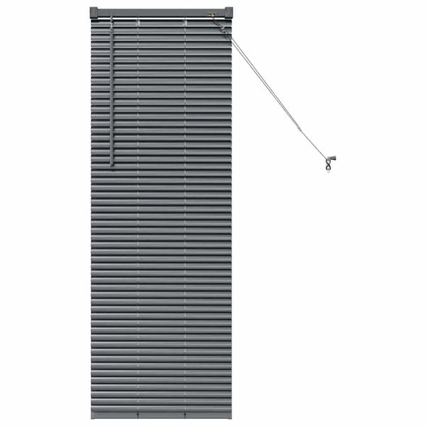 vidaXL Window Blind with Curtains Manual Dark grey Aluminium