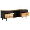 vidaXL TV Cabinet 120x30x40 cm Rough Mango Wood
