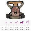 Product Thumbnail Image 14 of 14