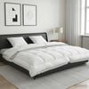 Product Thumbnail Image 2 of 12