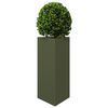 Product Thumbnail Image 4 of 12