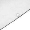 vidaXL Tarpaulin with Eyelets Transparent 3 x 4 m Polyethylene
