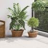 vidaXL Planter Basket with Storage 2 pcs Brown Lacak Rattan