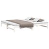 vidaXL Pull-out Day Bed without Mattress White 2x(80x200) cm