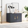 vidaXL Storage Cabinet Anthracite 60 x 40 x 40 cm Steel