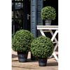 Emerald Artificial Boxwood Balls 2 pcs 53 cm 417630