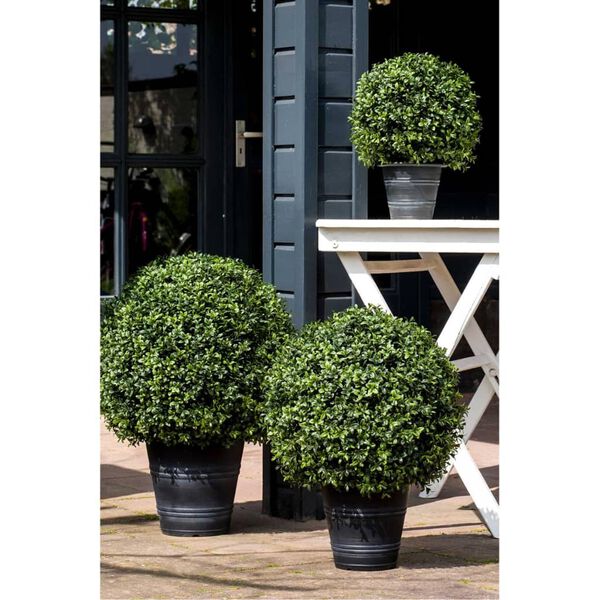 Emerald Artificial Boxwood Balls 2 pcs 53 cm 417630
