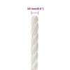 vidaXL Work Rope White 10 mm 25 m Polypropylene