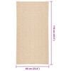 vidaXL Rug ZIZUR Beige 60x110 cm Jute Look Indoor and Outdoor