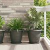 Product Thumbnail Image 2 of 10