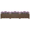 vidaXL Raised Bed 120x40x23 cm Polypropylene