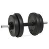 vidaXL Dumbbell with Plates 40 kg