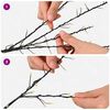 Product Thumbnail Image 4 of 5