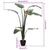 Product Thumbnail Image 6 of 6