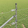 Product Thumbnail Image 3 of 13