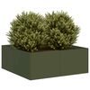 Olive_green