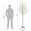 Product Thumbnail Image 7 of 7