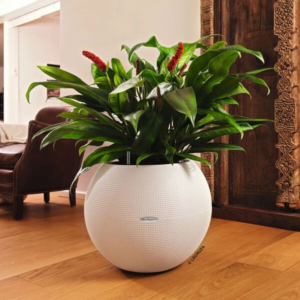 LECHUZA Planter PURO Color 50 ALL-IN-ONE Diameter 50 cm White