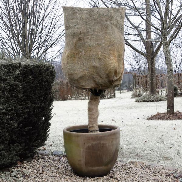 Nature Winter Jute Cover 230 g/m&sup2; Natural 0.75x1 m