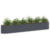 Product Thumbnail Image 2 of 7