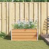 Product Thumbnail Image 4 of 11