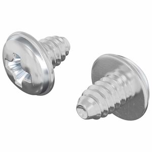vidaXL Lock Screws 2 pcs Silver M4 x 5 mm Iron