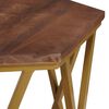 vidaXL Coffee Tables Brown 55 x 55 x 50 cm Solid Mango Wood