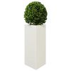 Product Thumbnail Image 10 of 13