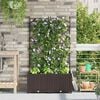 vidaXL Garden Planter 2 pcs Brown 80 x 40 x 143 cm Steel