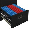 vidaXL Filing Cabinet Black 46x62x133 cm Steel