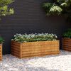 Product Thumbnail Image 2 of 7