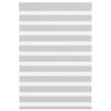 vidaXL Zebra Blind Light Grey 100x150 cm Fabric Width 95.9 cm Polyester