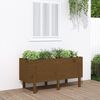 vidaXL Garden Raised Bed Honey Brown 121x50x57 cm Solid Wood Pine
