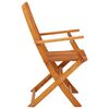 vidaXL Folding Garden Chairs 2 pcs Solid Eucalyptus Wood