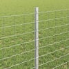 vidaXL Fence Post 5 pcs Silver 80 cm Steel