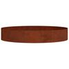 vidaXL Planter Ring Rusty 120 x 120 x 20 cm Weathering Steel