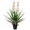 vidaXL Artificial Cymbidium Orchid Plant with Pot 100 cm Green