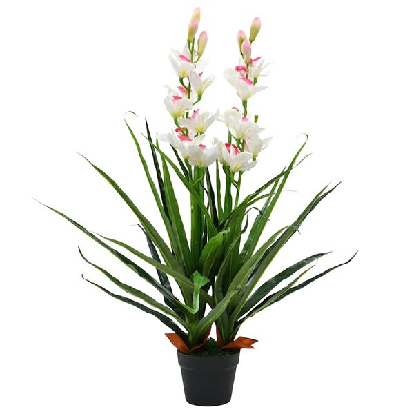 Showing Product Image 1 of 2